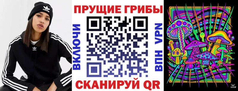 купить закладку Урень Галлюциногенные грибы GOLDEN TEACHER